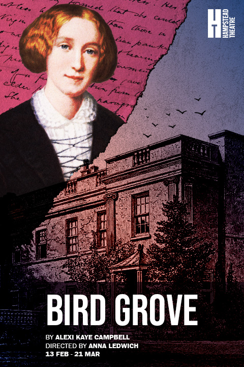 Bird Grove