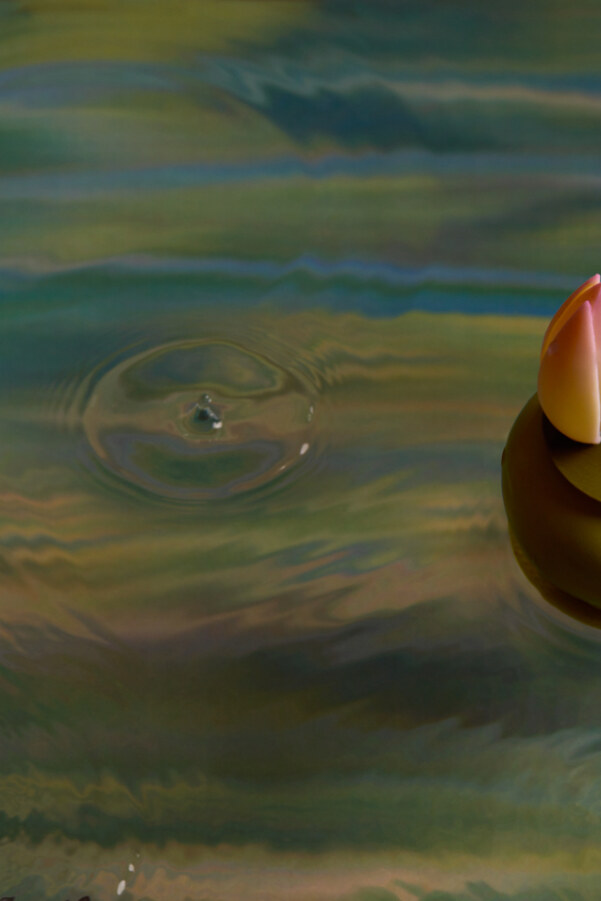 Rosewood London launches Monet-inspired afternoon tea to mark centenary of the artist’s death