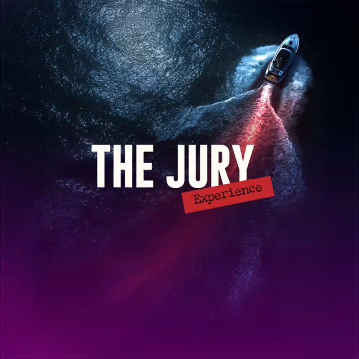 The Jury Experience