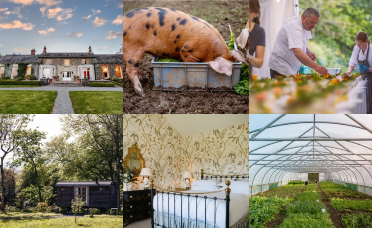 Top chefs and food leaders to gather at Virginia Park Lodge for Homegrown 2026 culinary retreat