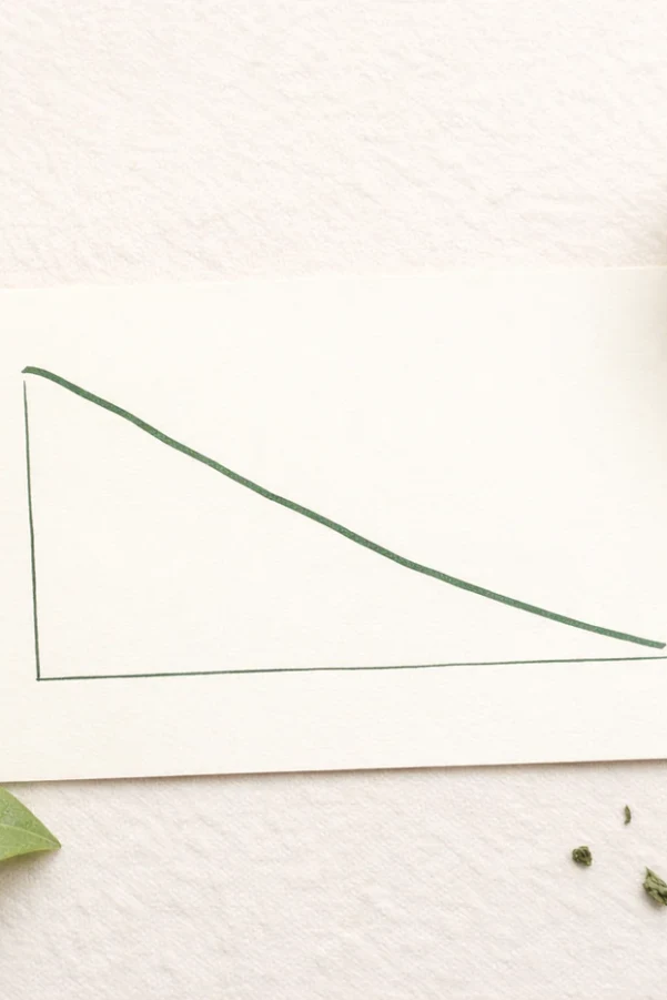 Why inflammation accelerates aging?