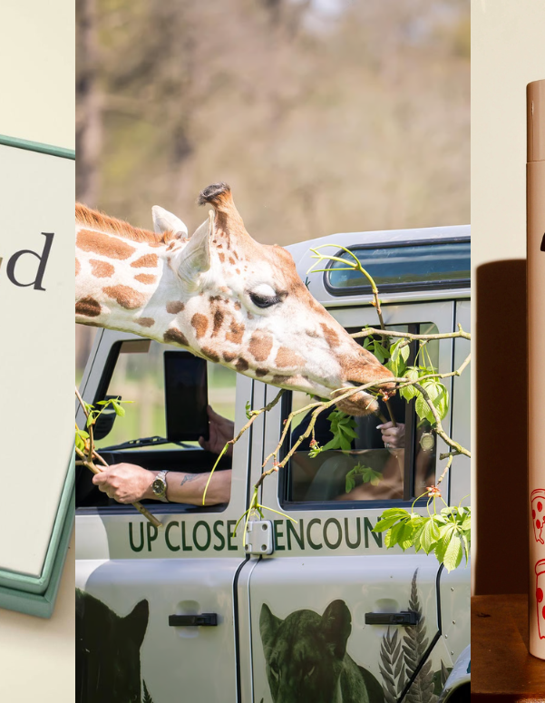 The ultimate Father’s Day Gift Guide 2026