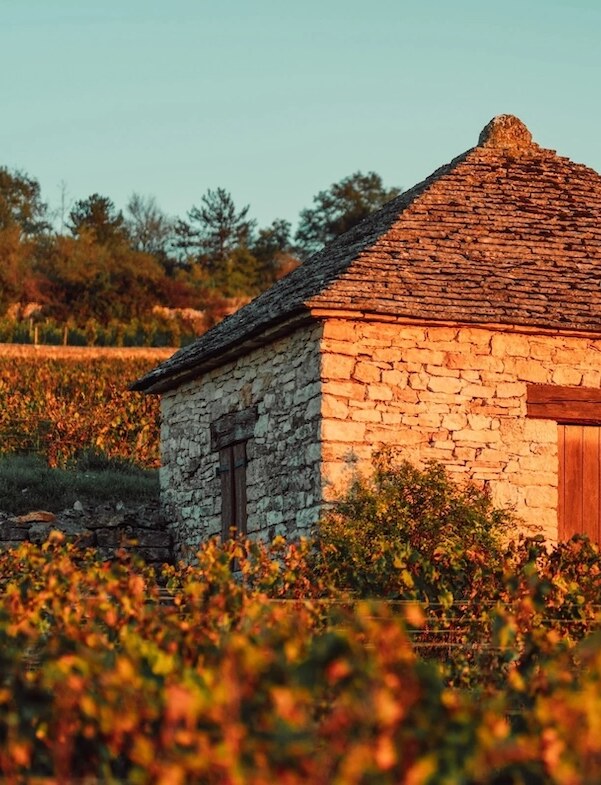 Berry Bros & Rudd named exclusive UK partner for new Burgundy estate Vignoble des Cabottes