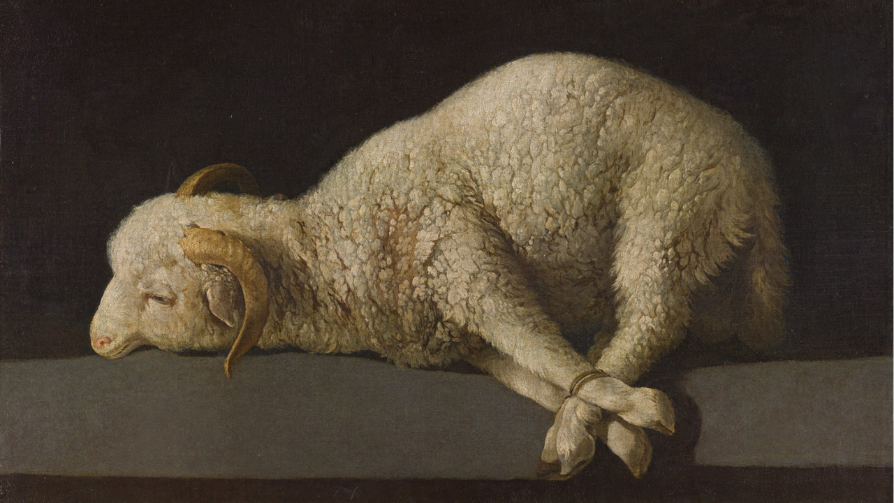 Zurbarán at the National Gallery