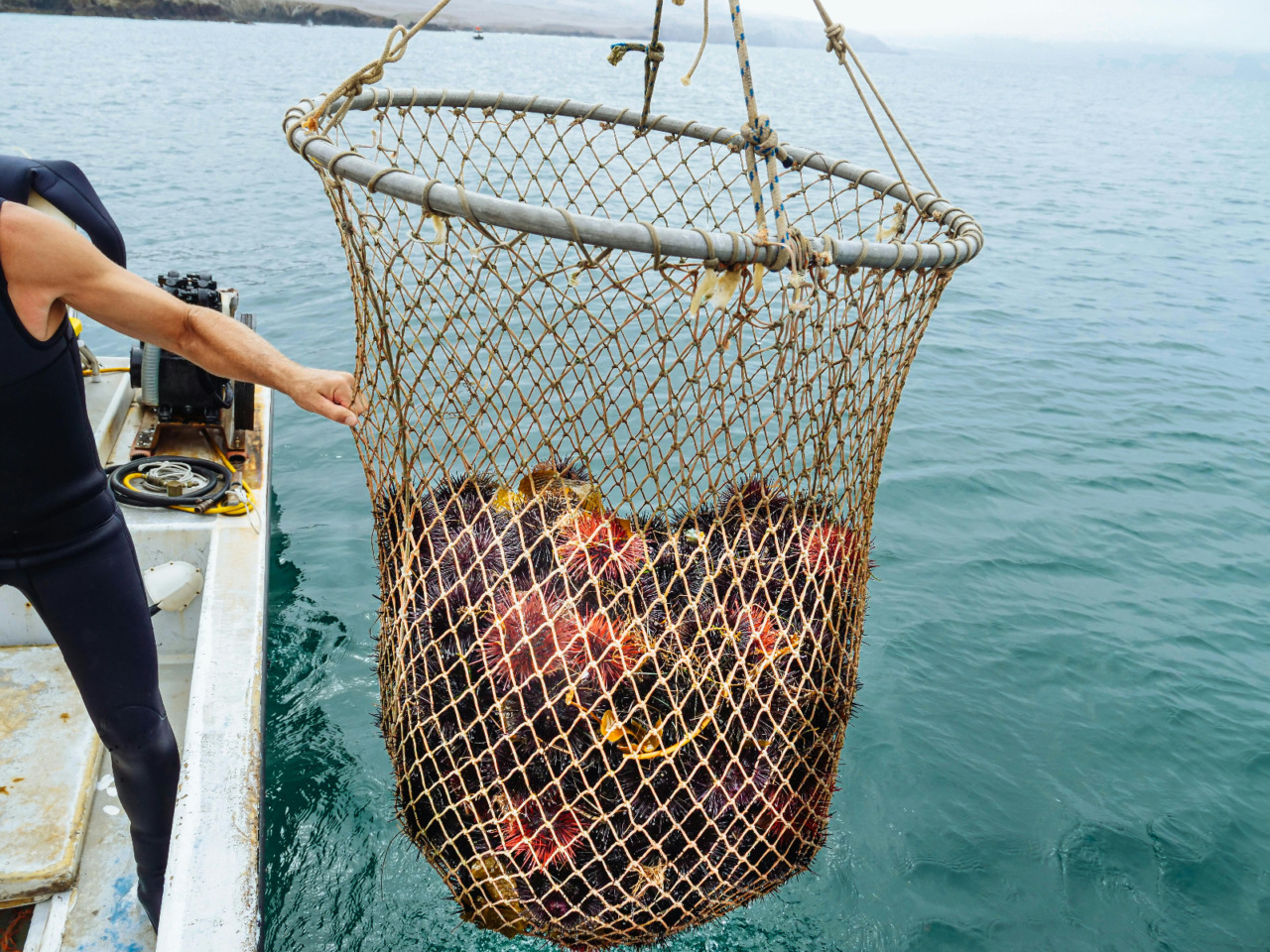 The Deadliest Catch heads to Canada