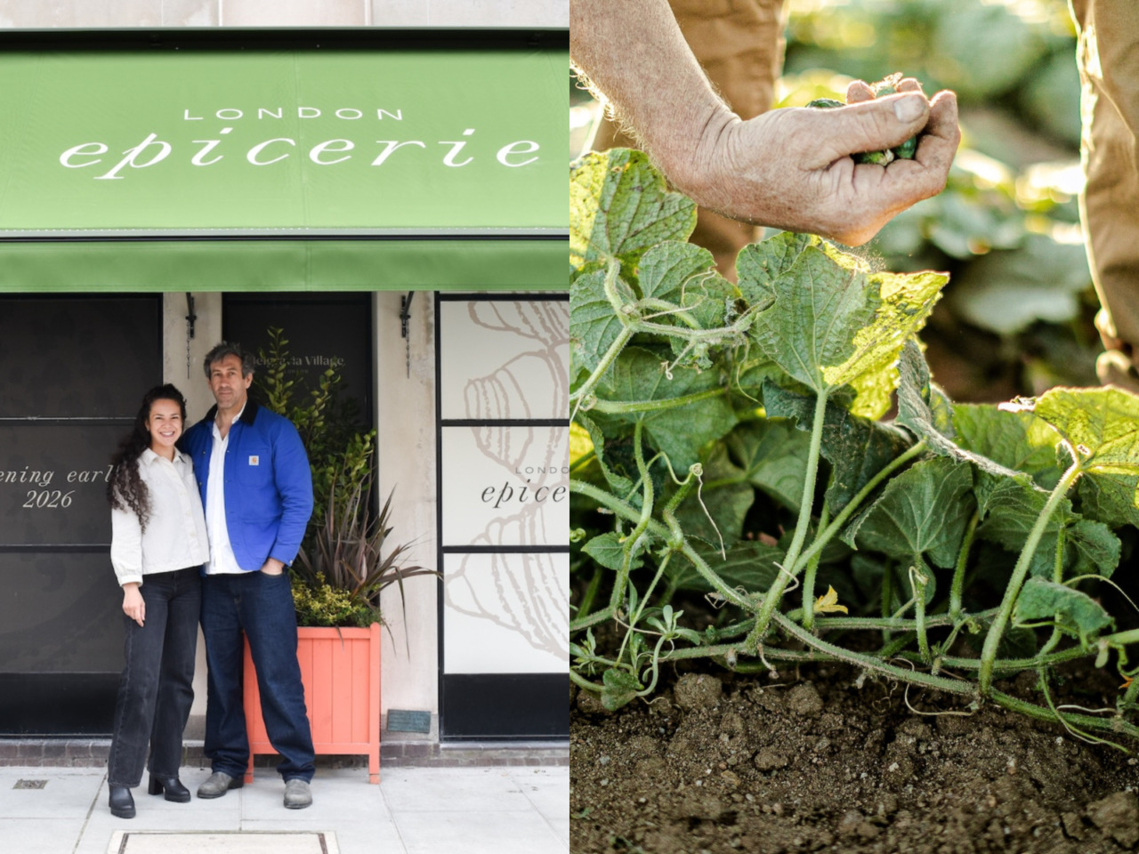 London Epicerie to open in Belgravia, for specialist foods and everyday groceries
