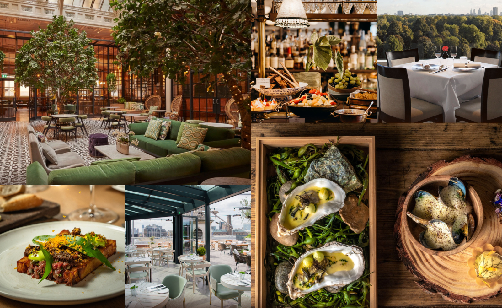 Opentable Dinner A third of Brits now choose hotels based on the restaurant: OpenTable ...