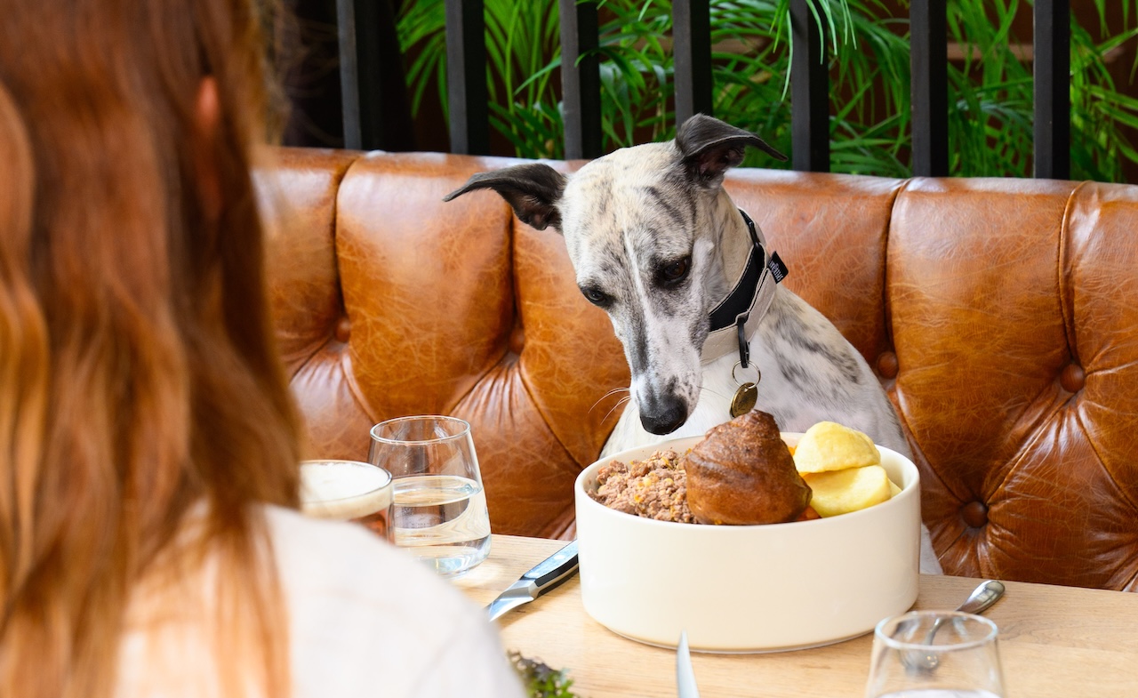 Chelsea gastropub launches free Sunday roast for furry friends to mark International Dog Day