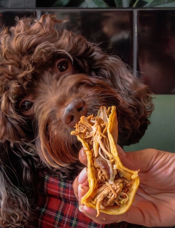 Vauxhall’s Market Place Food Hall is serving up a free doggy menu for National Dog Day this week