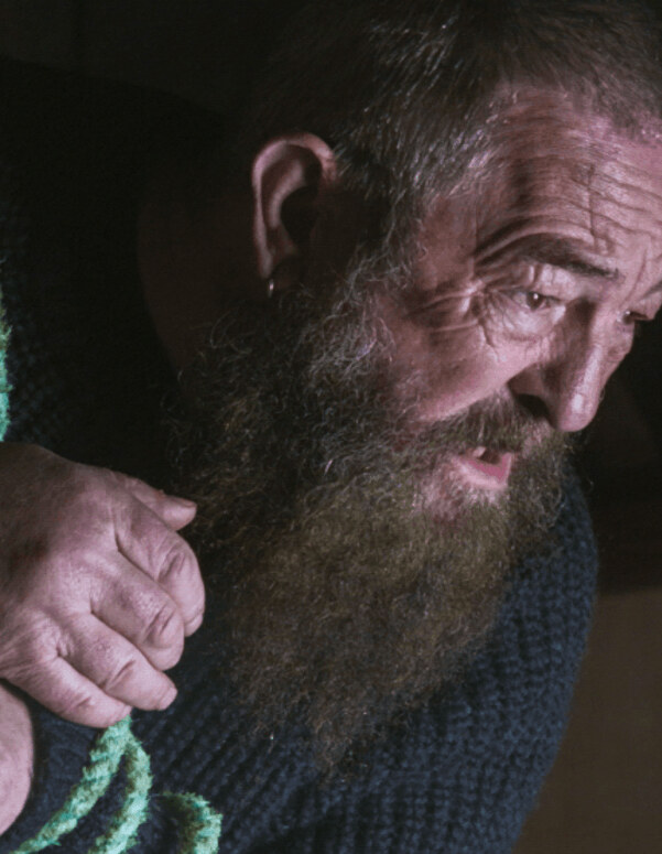 FrightFest 2026: Wrath of the Gods