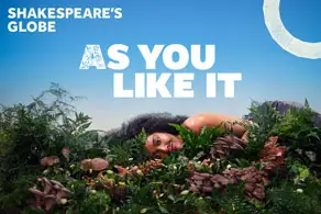 As You Like It