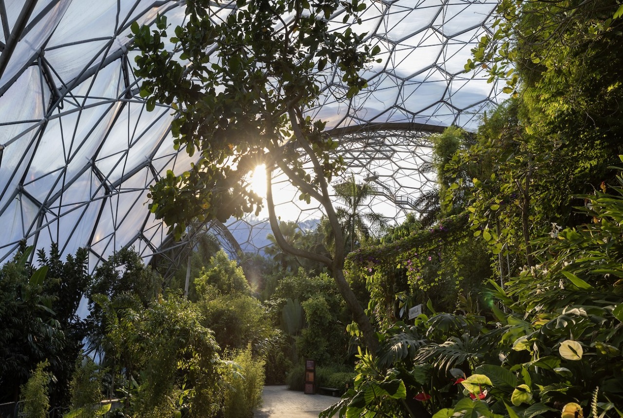 The Eden Project in Par, Cornwall