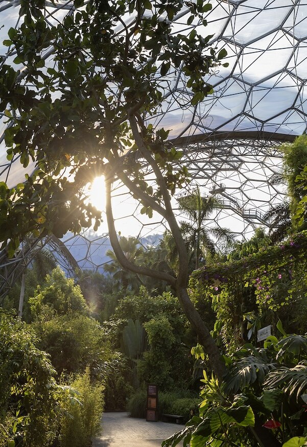 The Eden Project in Par, Cornwall