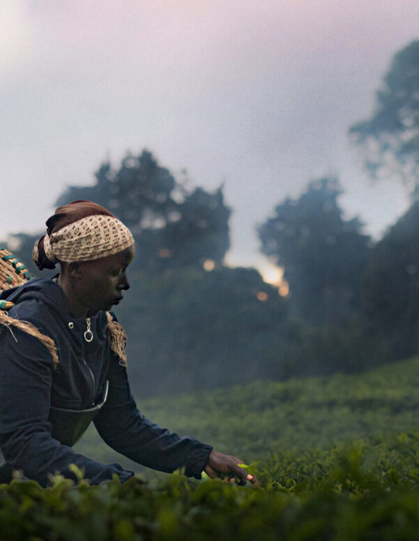 Kikuyu Land